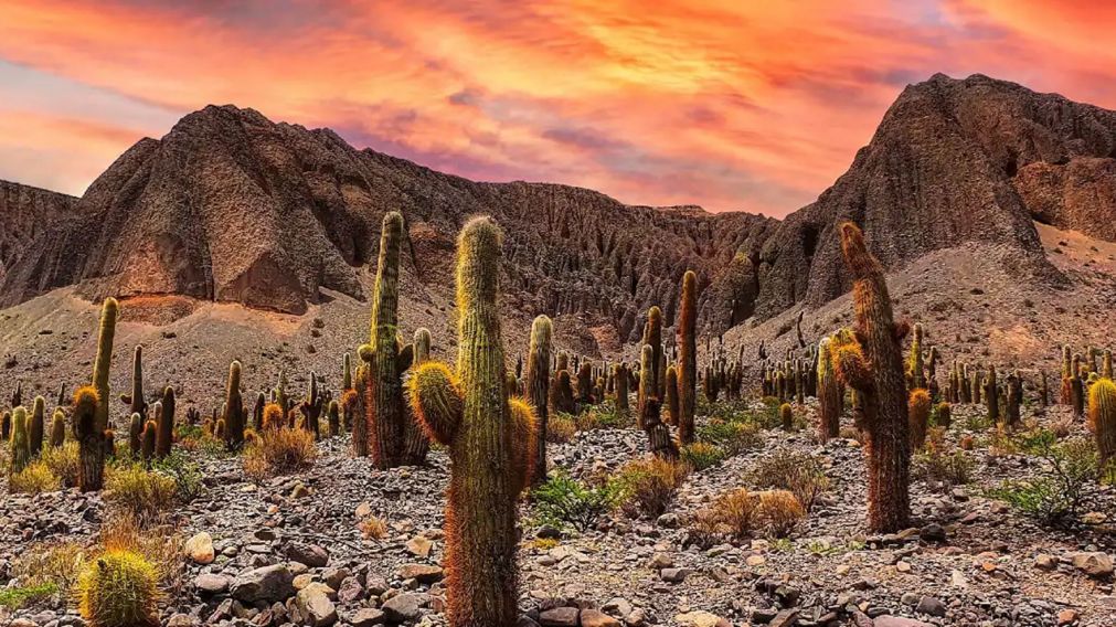 Una maravilla natural que no te podés perder.