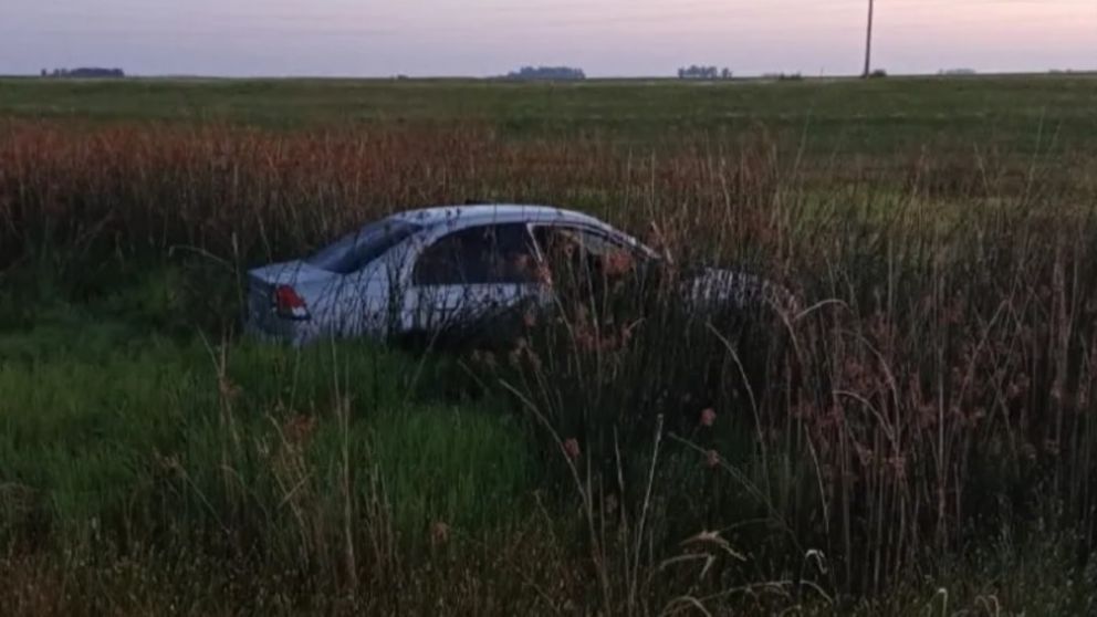Un auto que circulaba por la Ruta 2 se fue a la banquina y terminó entre yuyos altos (Gentileza Ahora Mar del Plata).