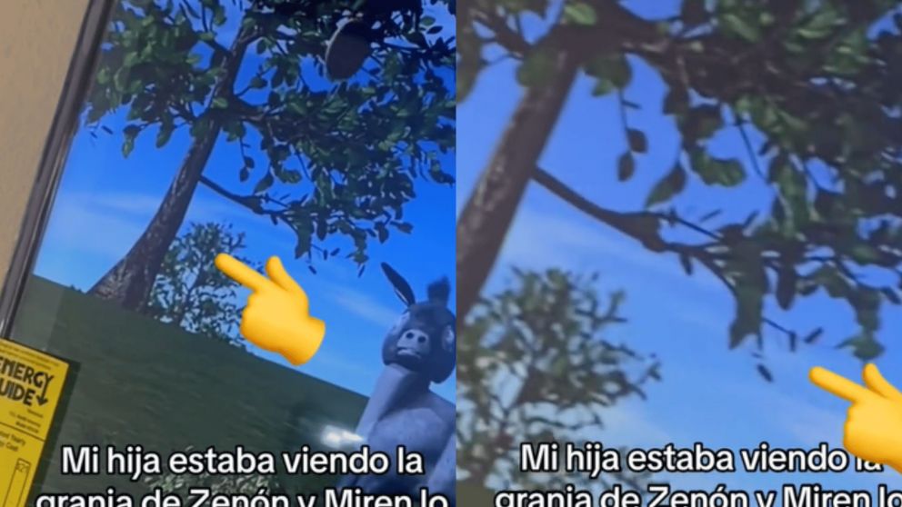 El video causó pánico en muchos usuarios de las redes (Captura TikTok).