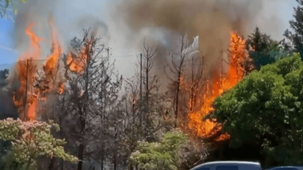 ¡AHORA! Incendio en el Campo de Golf de Palermo