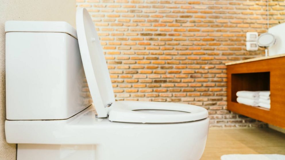 El proyecto del inodoro se fue a las "cloacas" (Imagen ilustrativa).