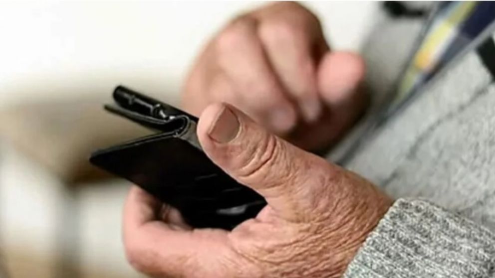 El PAMI lanzó una campaña de prevención ante reclamos de algunos de sus afiliados por intentos de estafas virtuales (NA).
