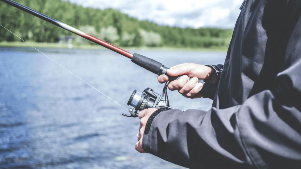 El reto visual que solo el 1% pudo resolver: ¿Dónde está el error en la imagen del pescador?