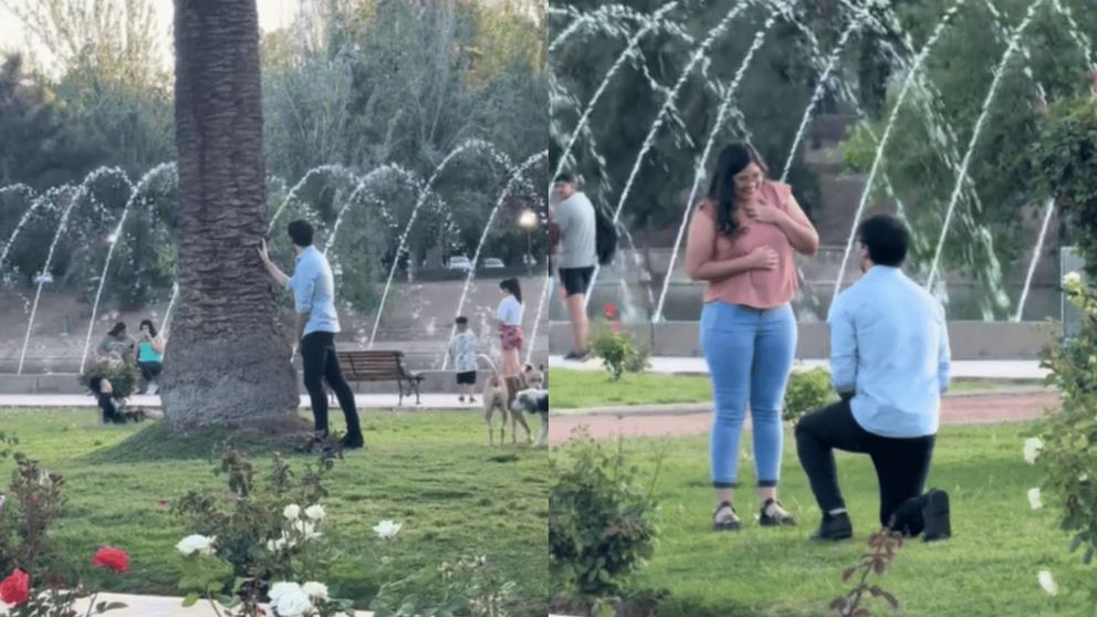 La emotiva propuesta de casamiento en el parque sorprendió a todos y no tardó en difundirse en las redes sociales (Captura TikTok).