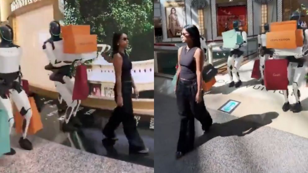 Los robots que ayudan a cargar las bolsas de las compras.
