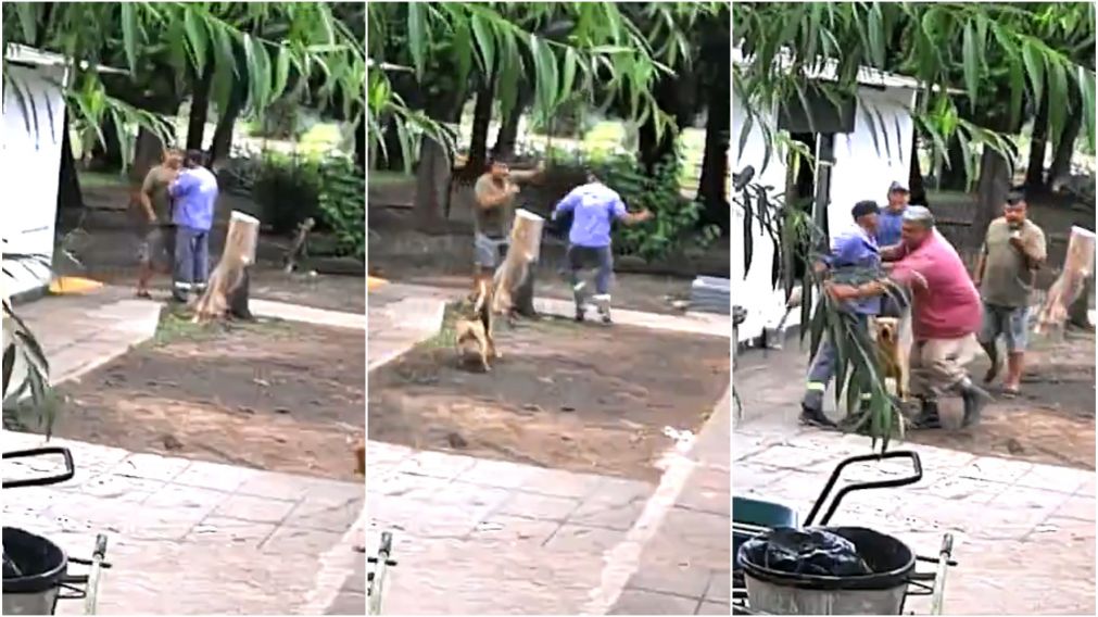 El grave ataque quedó filmado por una cámara de seguridad.