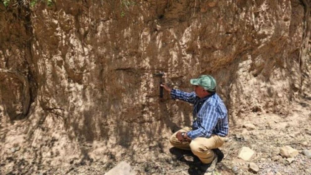 El ejemplar de gliptodonte fue encontrado en la provincia de Salta (Saltahoy).