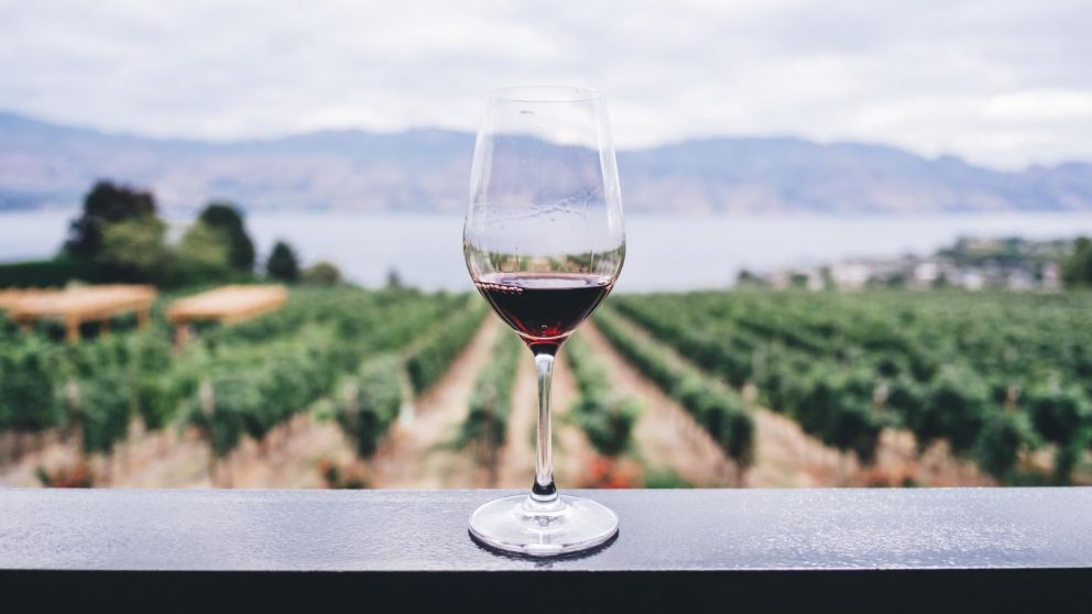 ¡Salud con un buen vino! (Imagen ilustrativa).