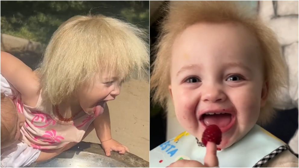 Una nena caus� furor en las redes sociales por la forma de su pelo.