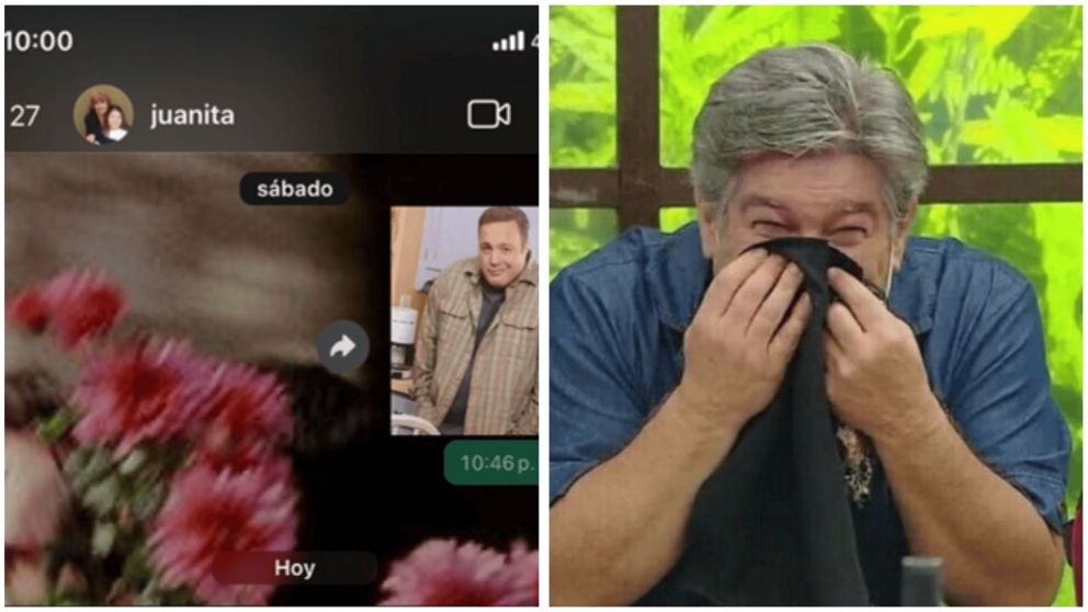 Los comentarios de la mujer hicieron reír a todos en las redes sociales (Captura X).