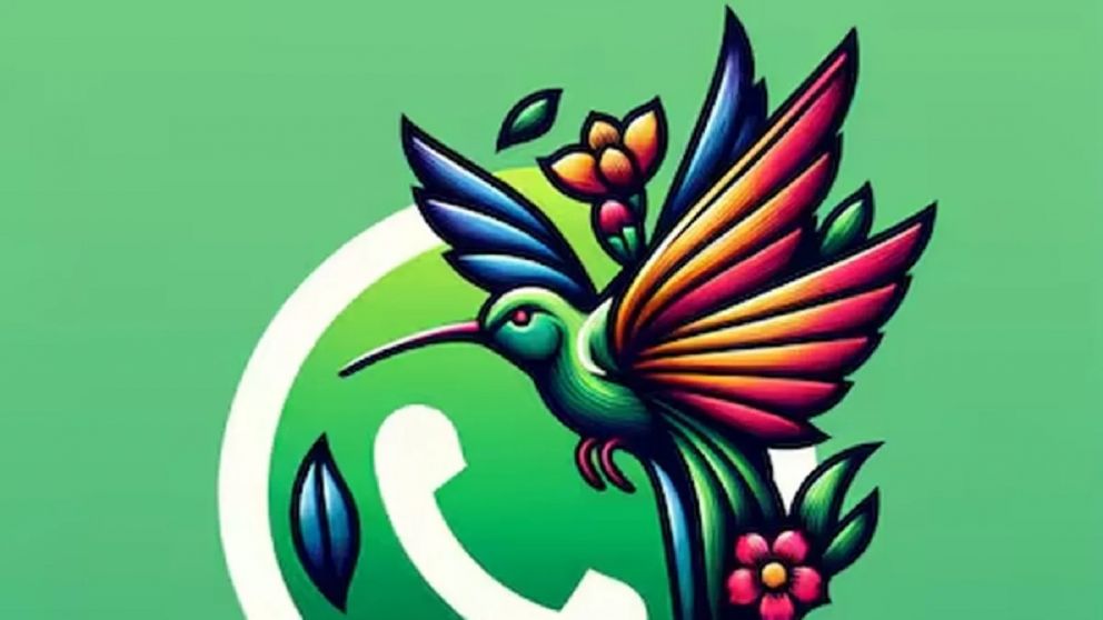 WhatsApp: así se activa el modo colibrí en simples pasos.