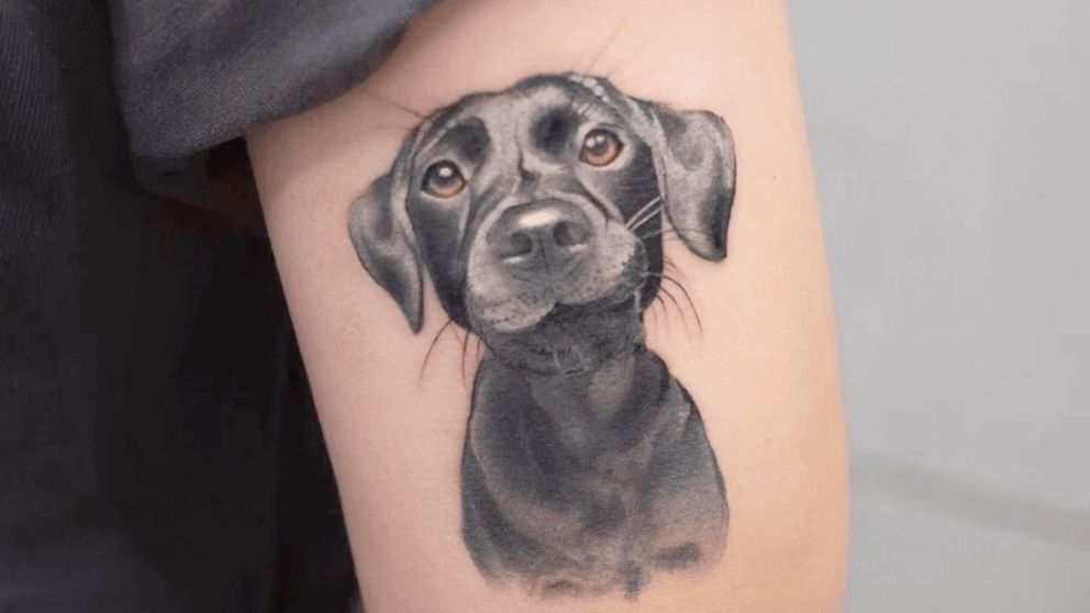 La mujer se tatuó a su perro porque es "lo principal" en su vida, pero ahora hizo algo con la mascota que enojó a casi todos en las redes (Imagen ilustrativa).