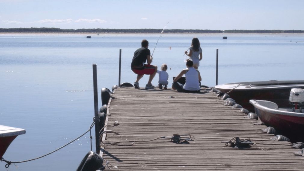 Actividades para toda la familia, recreos donde comer y amplios espacios verdes: reservas naturales de Buenos Aires que pocos conoce y tienen entrada gratuita.