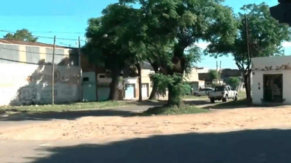 Un hombre murió tras recibir 150 picaduras de abejas en la zona norte de Rosario (Gentileza Radiofónica).