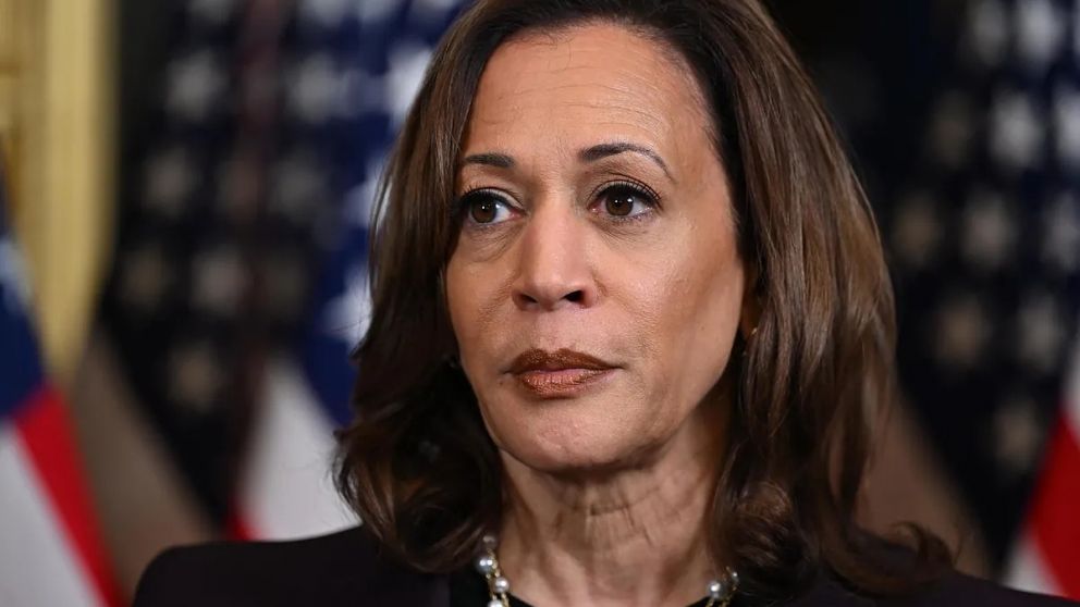 Kamala Harris mantuvo una breve comunicación con Trump luego de conocerse los resultados del estado de Michigan.