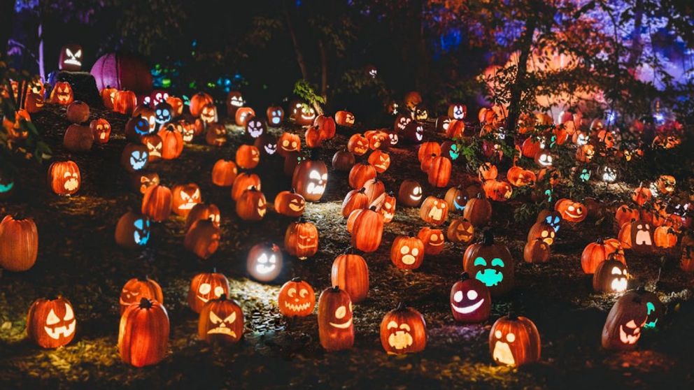Tenés 10 segundos para encontrar a la calabaza sin nariz en este reto visual de Halloween.