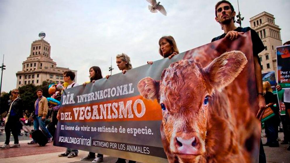 El veganismo busca generar conciencia en la población (Imagen ilustrativa).