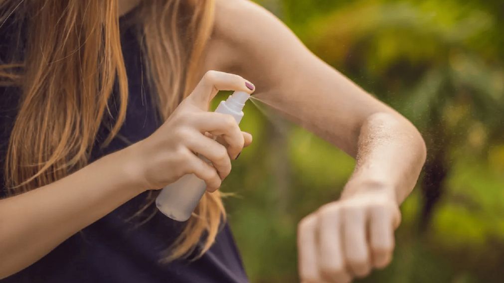 Stockeate para el verano: Cuenta DNI permite conseguir repelentes de mosquitos con un 20% de descuento, ¿cómo aprovechar?