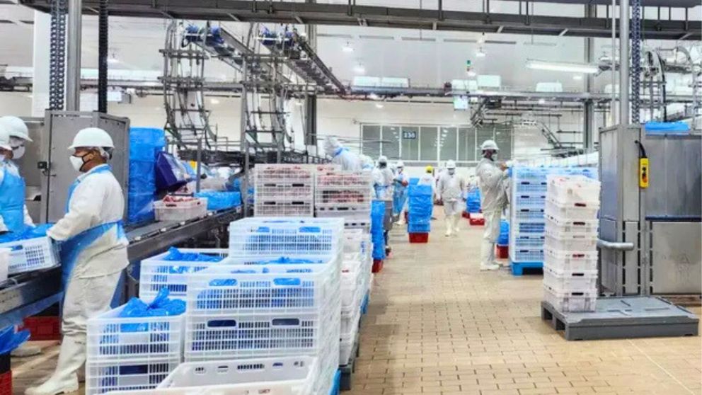 Esta reconocida empresa abrió una nueva convocatoria laboral para diversos puestos, algunos cuyo máxima exigencia puede ser contar con secundario completo (Imagen ilustrativa).