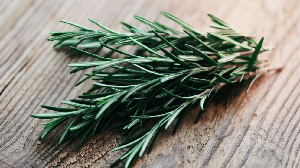 Los secretos de la hoja de romero bajo la almohada: beneficios y por qué deberías intentarlo (Imagen ilustrativa)