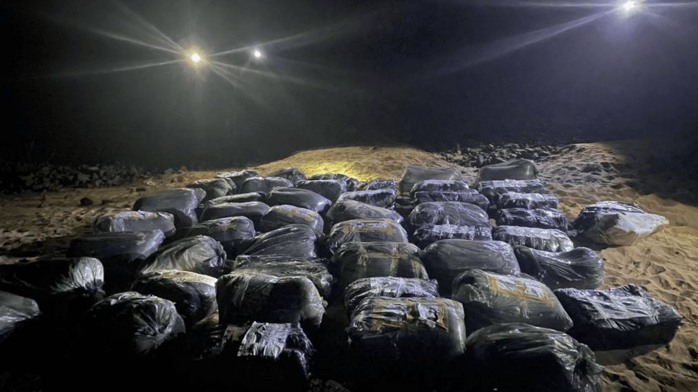 As� encontraron casi 600 kilos de marihuana