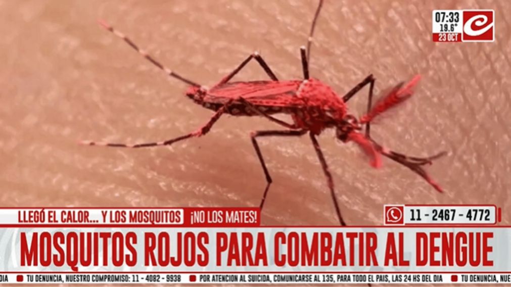 Crónica HD