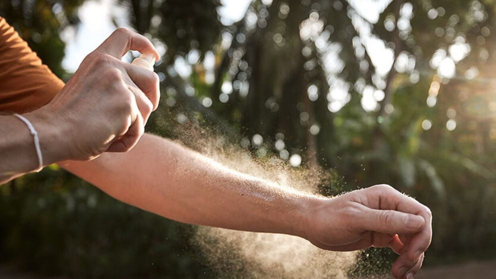 ANMAT vetó la marca de un repelente de mosquitos (Imagen ilustrativa).