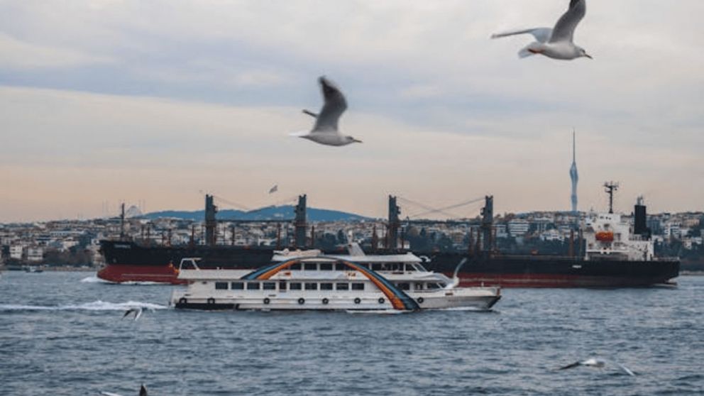 Reto visual extremo: �Te anim�s a encontrar las 7 diferencias ocultas en el paisaje en 15 segundos?