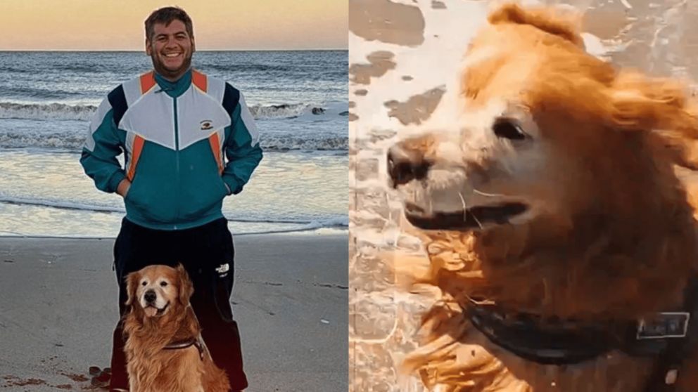 Alan, el dueño de Ayrton, decidió llevarlo a conocer el mar por un tierno motivo y compartió cómo el animal de divierte en la playa (Captura X).