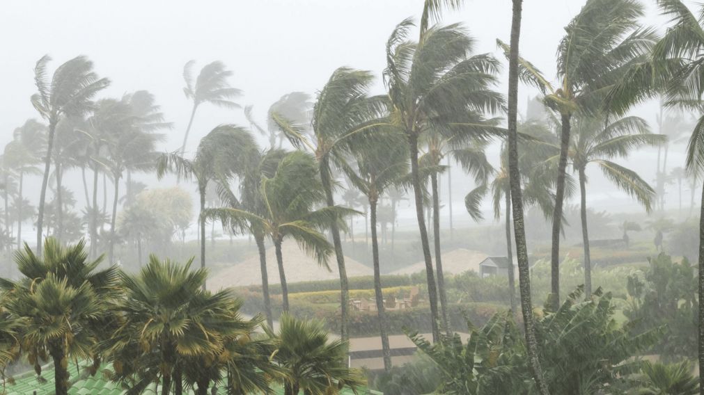 El hurac�n Milton se aproxima a Florida: a qu� hora impactar� y cu�les son las �reas en riesgo