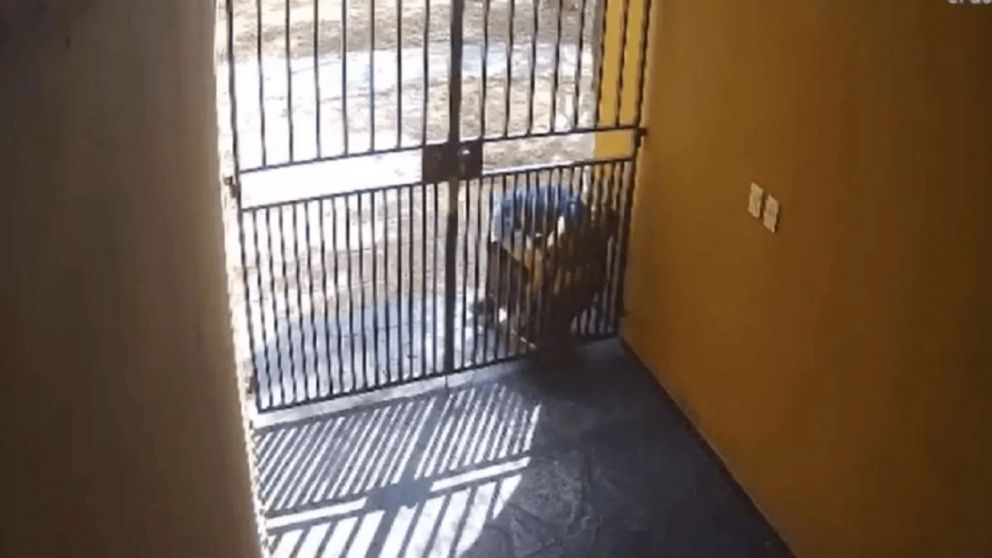 En las im�genes captadas por las c�maras de seguridad, se puede observar c�mo el delincuente ataca a la mujer.