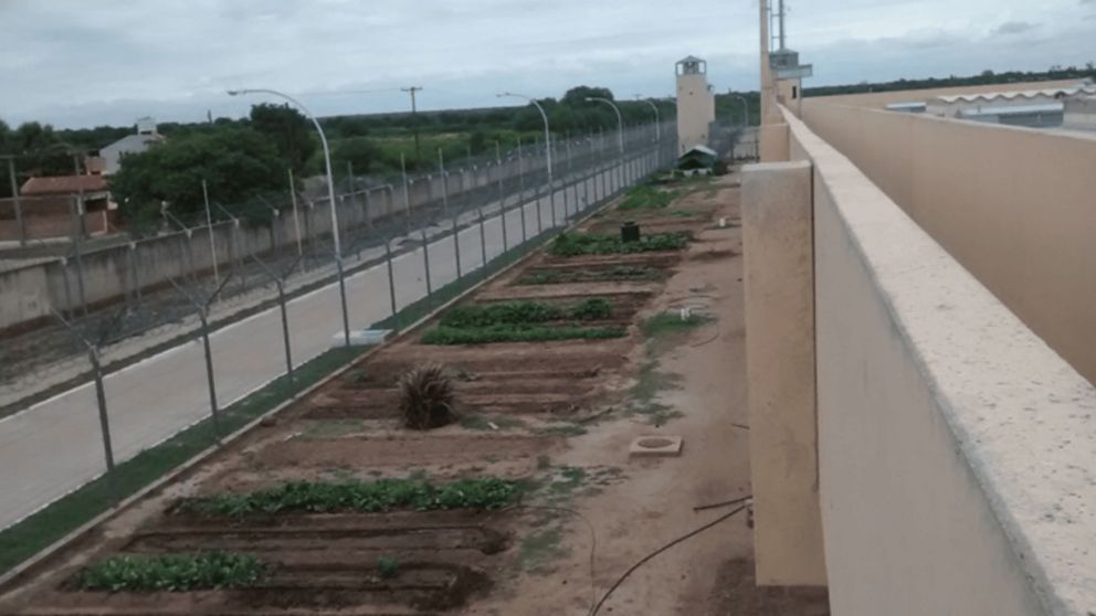 Una nena de 8 años fue usada de “mula” por su madre para ingresar cocaína una cárcel.