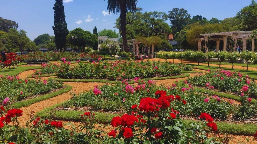 Tómate una escapada y enamórate de las bellezas de la naturaleza primaveral.