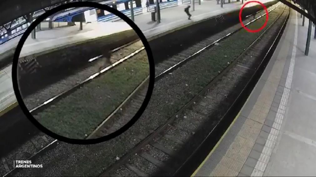 Robo en el tren: detuvieron a un ladrón tras arrebatar un celular y lanzar piedrazos en la estación Constitución