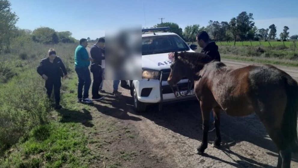 Así fue reducido el individuo que era buscado por la muerte de Marcos Portillo. Crédito: Bragado Informa.