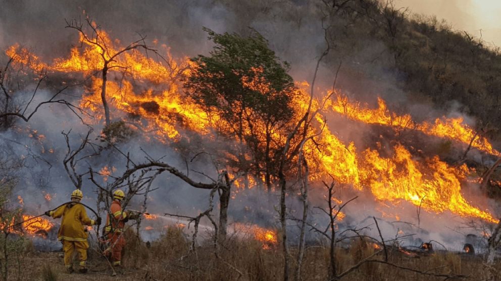 Córdoba busca restaurar los daños causados por los incendios con una millonaria inversión