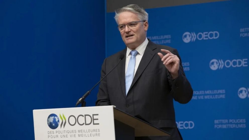 La Organización para la Cooperación y el Desarrollo Económicos modificó su pronóstico sobre la economía argentina.
