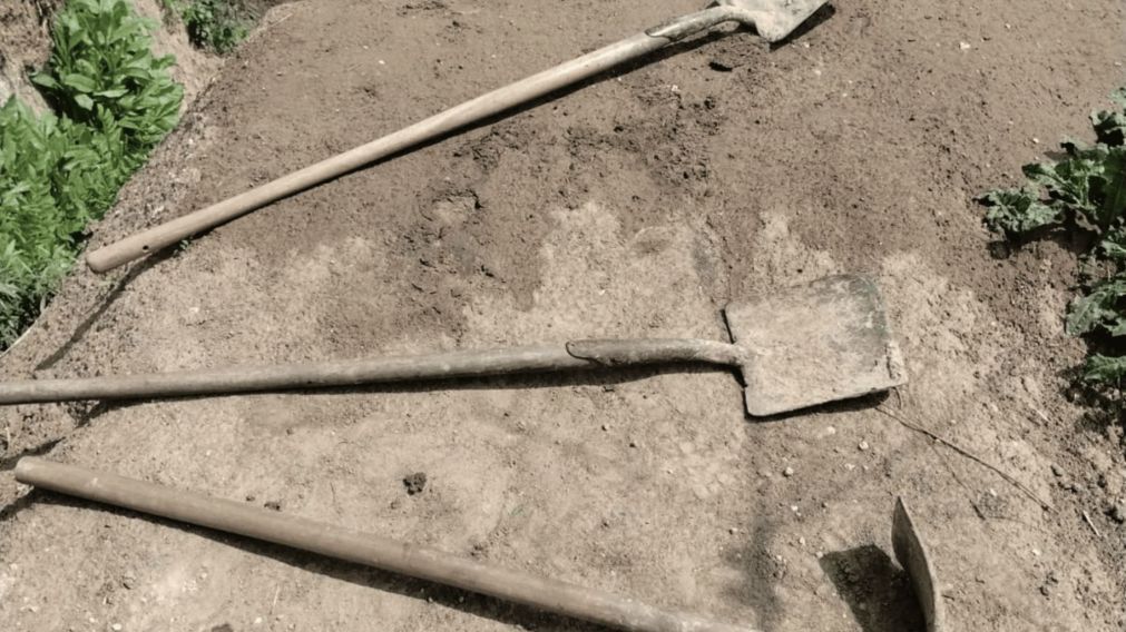 Los detenidos fueron descubiertos en el Parque Pereyra con picos y palas (Gentileza 0221).