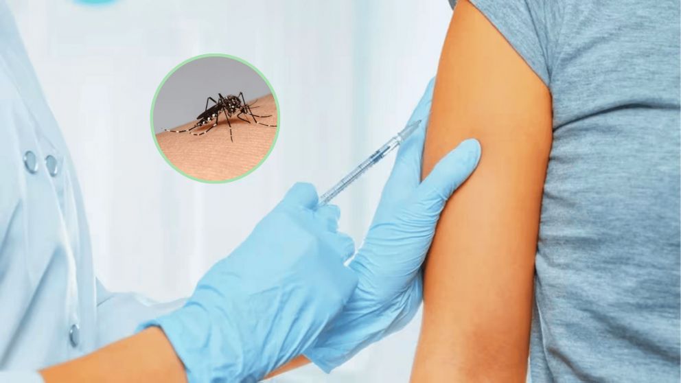 El Gobierno de la Ciudad comenzará a fin de septiembre la vacunación contra el dengue (Imagen ilustrativa).