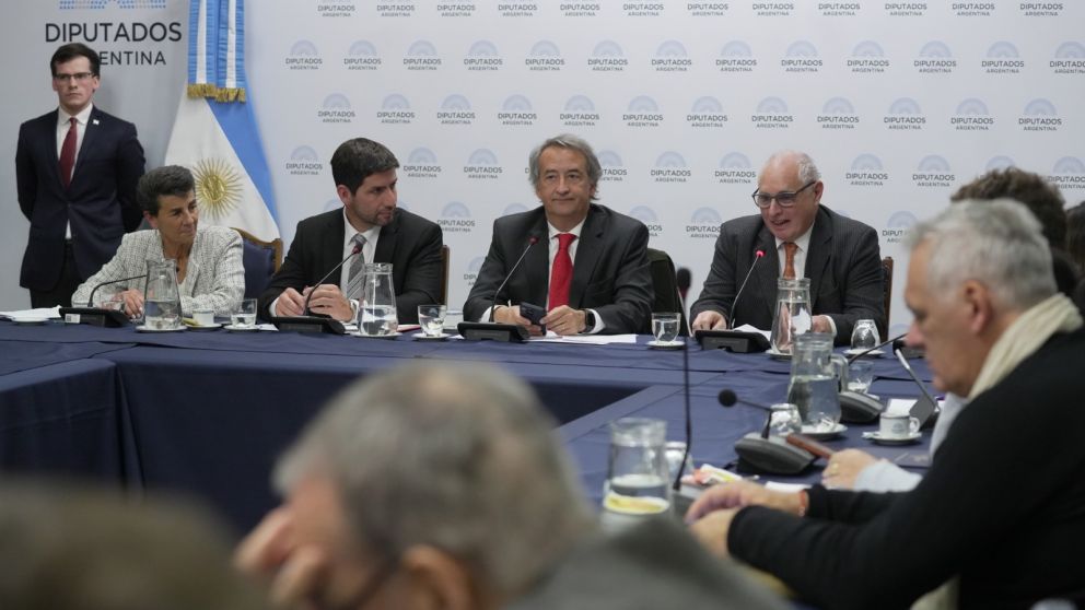 El plenario de comisiones buscar� acordar un dictamen sobre Ficha Limpia