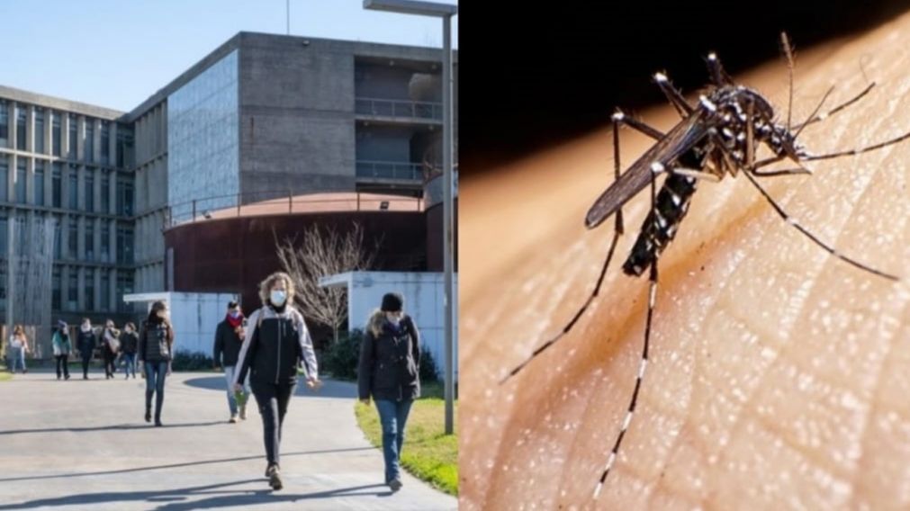 La Universidad Nacional de San Martín ya trabaja con Inteligencia Aritificial para predecir el brote de dengue