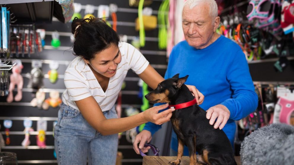 Enterate cómo aprovechar el descuento del 40% con Cuenta DNI en compras en pet shops y veterinarias.