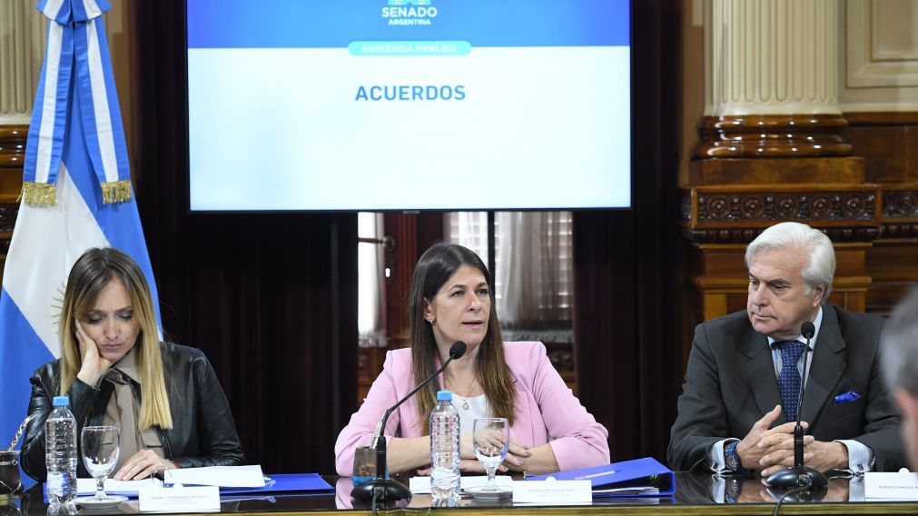 La Comisión, presidida por Guadalupe Tagliaferri, analizó los antecedentes de ambos candidatos (gentileza Senado de la Nación).