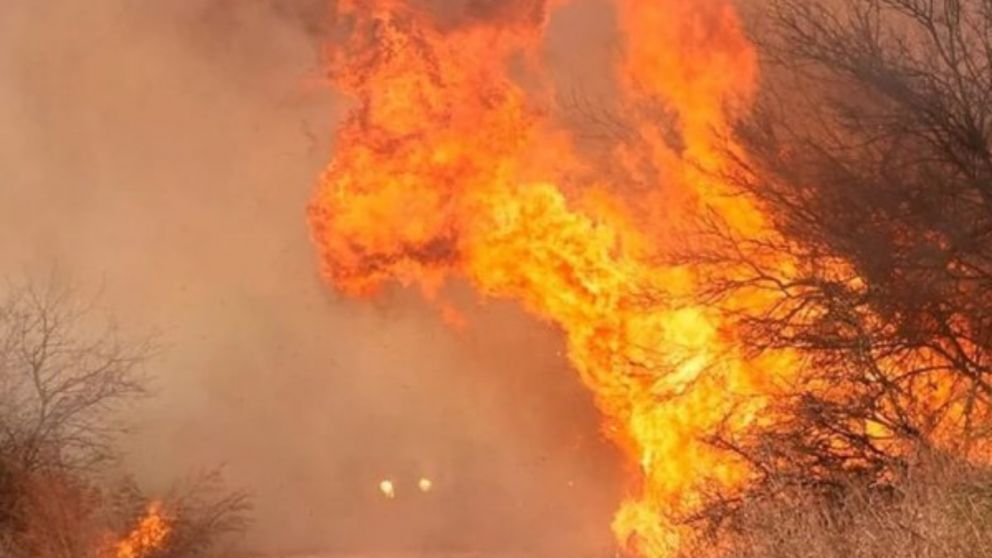Se intensifican los incendios forestales en La Calera.