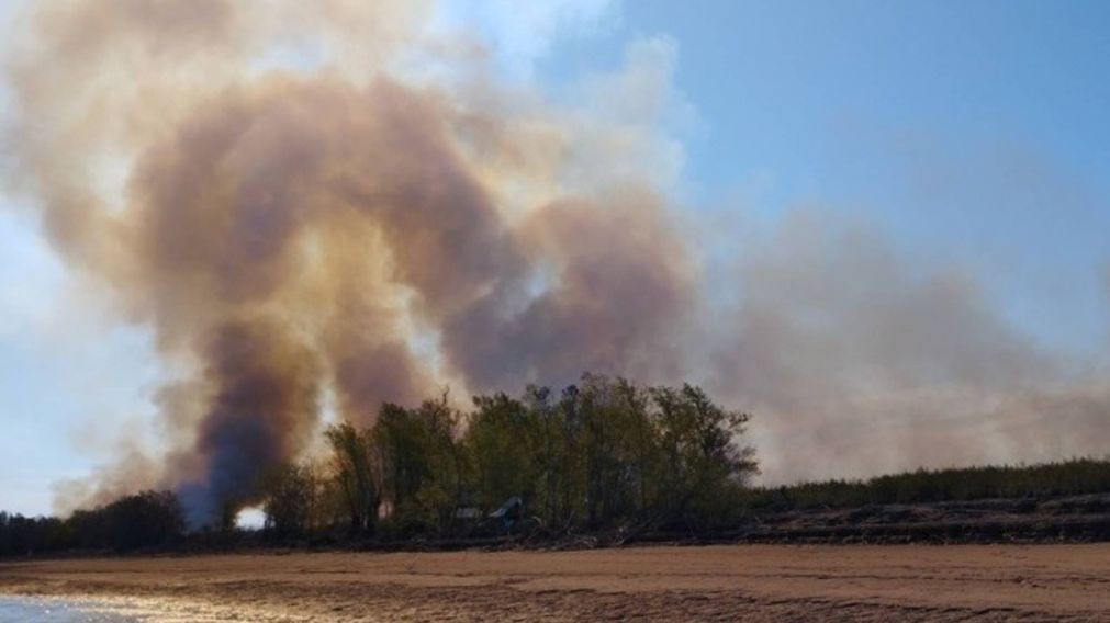 Piromaniaco fue detenido tras comenzar mega incenido
