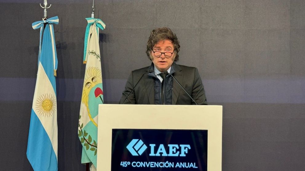 Javier Milei durante su discurso en la IAEF.