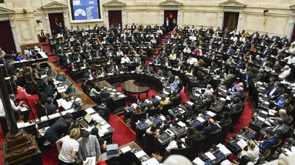 LA CÁMARA BAJA DESAFÍA EL VETO IMPUESTO POR MILEI.