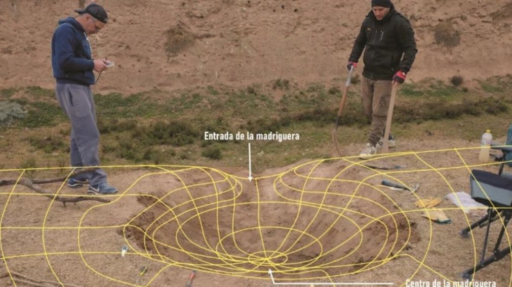 La madriguera hallada permitió descubrir la presencia de los fósiles (Investigadores).