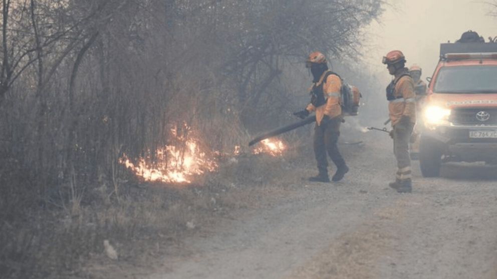 Uno de los focos ya fue exterminado pero aún quedan dos más (Twitter).