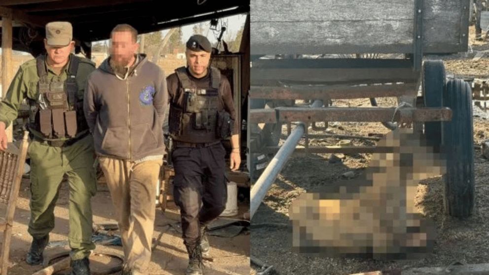 Un hombre ató a una perra, la asesinó a puñaladas y fue detenido en Venado Tuerto (Imagen La Capital).